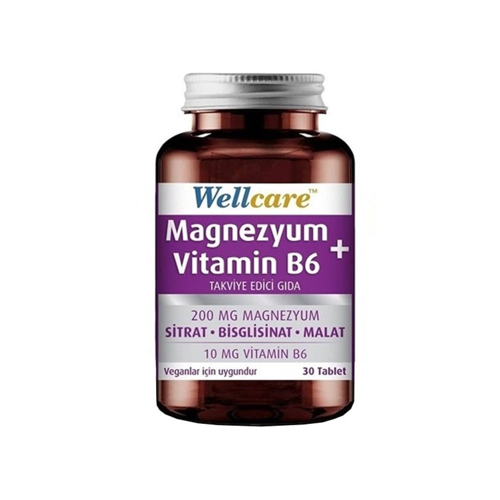 Wellcare Magnezyum ve Vitamin B6 30 Tablet