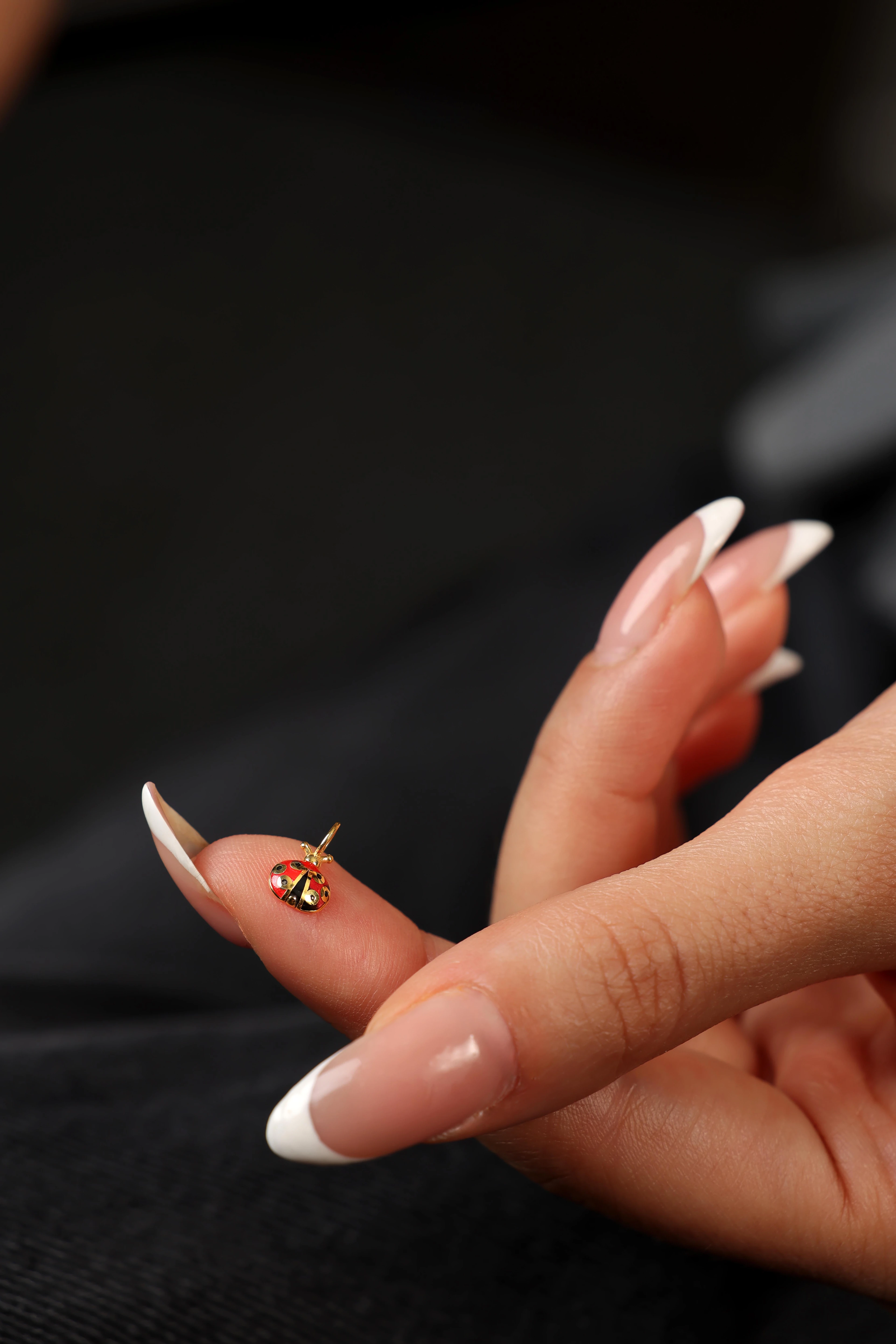 Uğur Böceği Charm