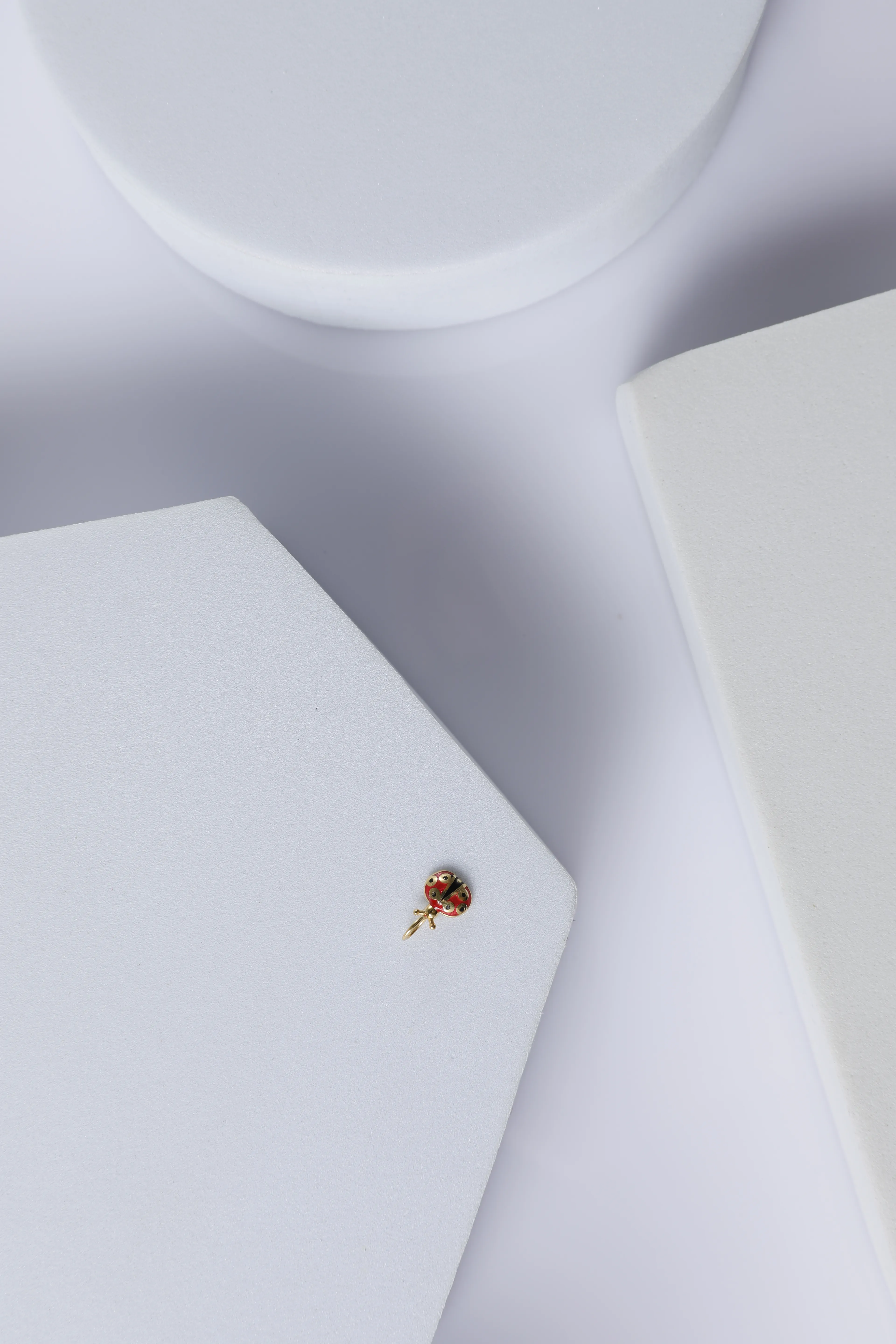 Uğur Böceği Charm