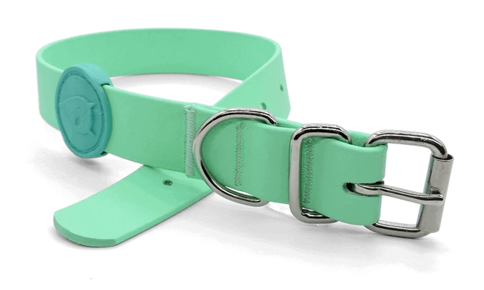 Waterproof Boyun Tasması Aquamarine Morso