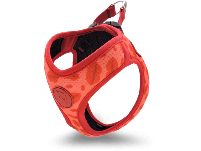 Lipstick Body Mesh Göğüs Tasması Morso