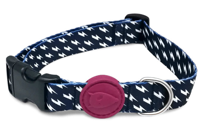 Power Flow Boyun Tasması