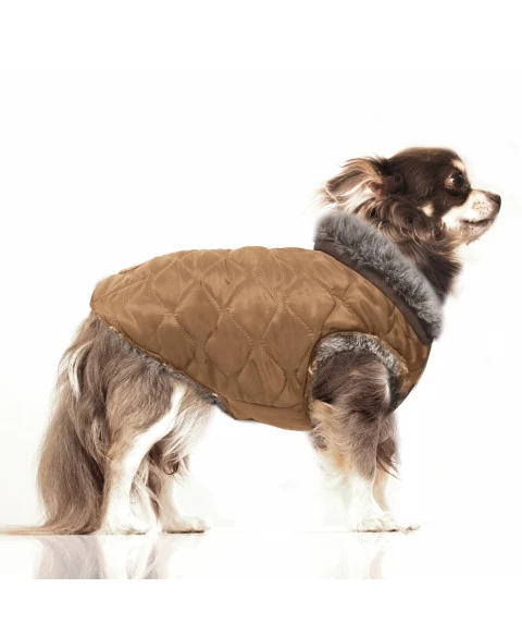 Milk & Pepper Gaspard Çift Taraflı Şişme Köpek Montu