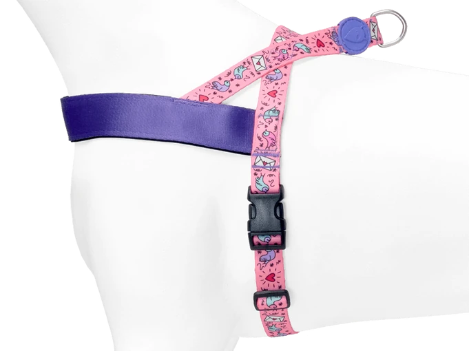 Sweet Tweet Norveç Tipi Morso Göğüs Tasması