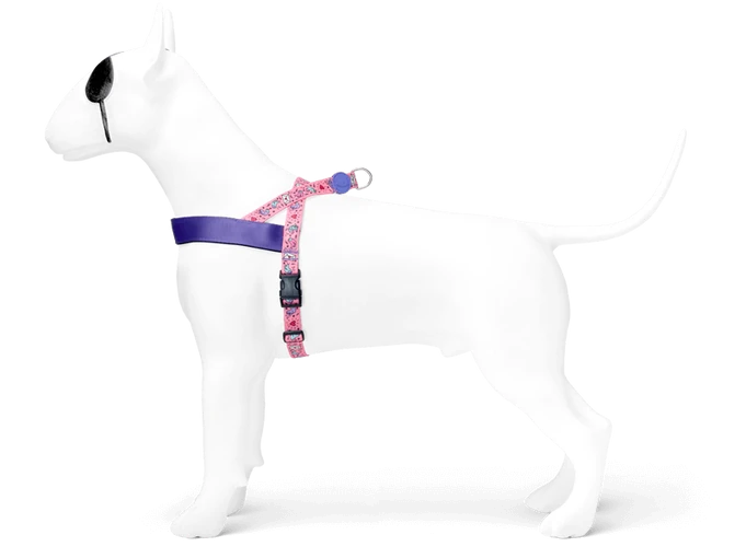 Sweet Tweet Norveç Tipi Morso Göğüs Tasması