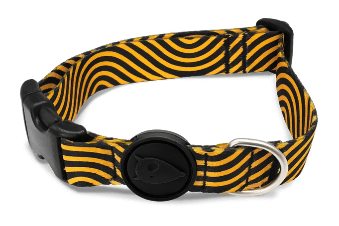 Must Hard Maze Morso Boyun Tasması