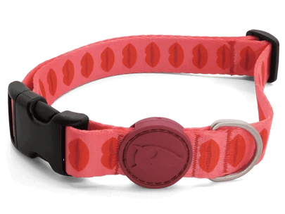 Lipstick Boyun Tasması Morso