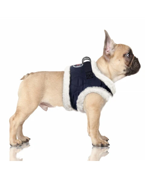 Milk & Pepper Elio Göğüs Tasması