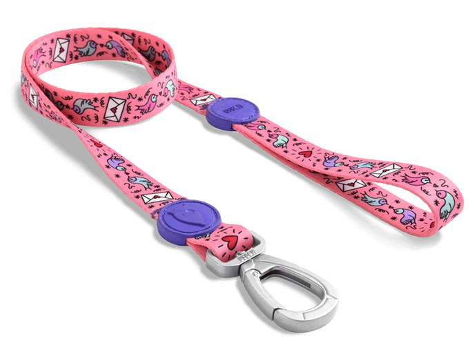 Sweet Tweet Standart Gezdirme İpi Morso