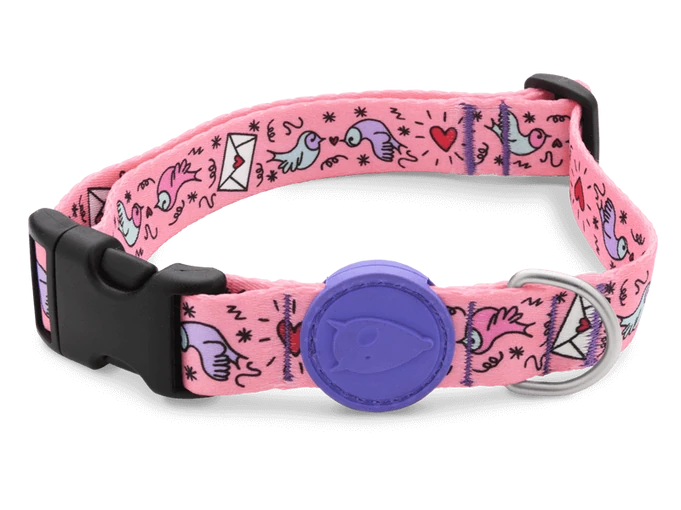 Sweet Tweet Boyun Tasması 