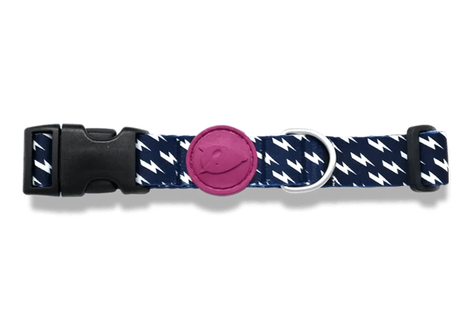 Power Flow Boyun Tasması