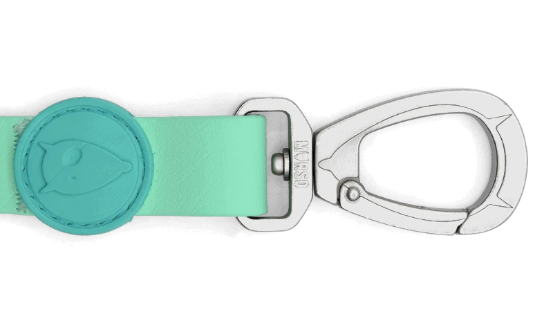 Waterproof Gezdirme Kayışı Aquamarine