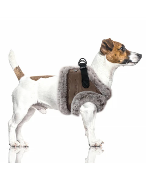 Milk&Pepper Louis Göğüs Tasması