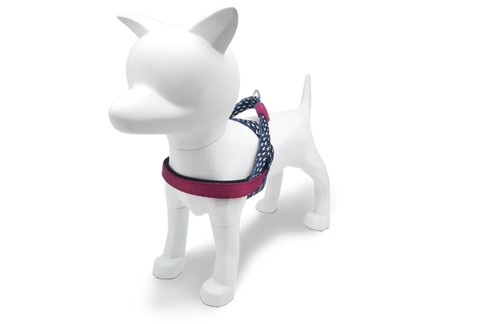 Power Flow Norveç Tipi Göğüs Tasması