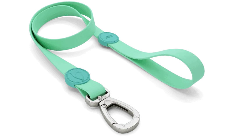 Waterproof Gezdirme Kayışı Aquamarine