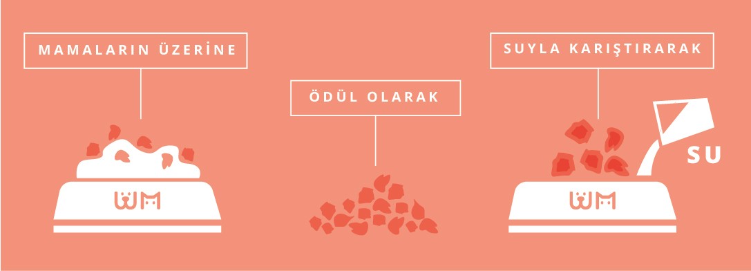 Köpek Dana Yürek