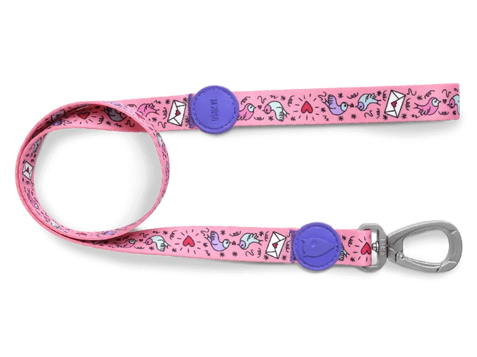 Sweet Tweet Standart Gezdirme İpi Morso