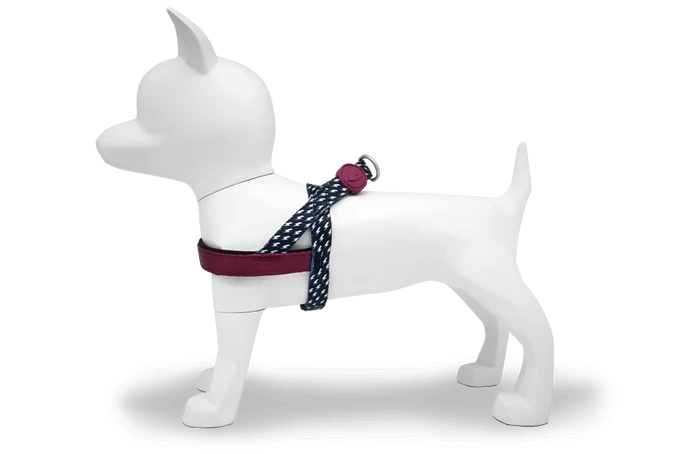 Power Flow Norveç Tipi Göğüs Tasması