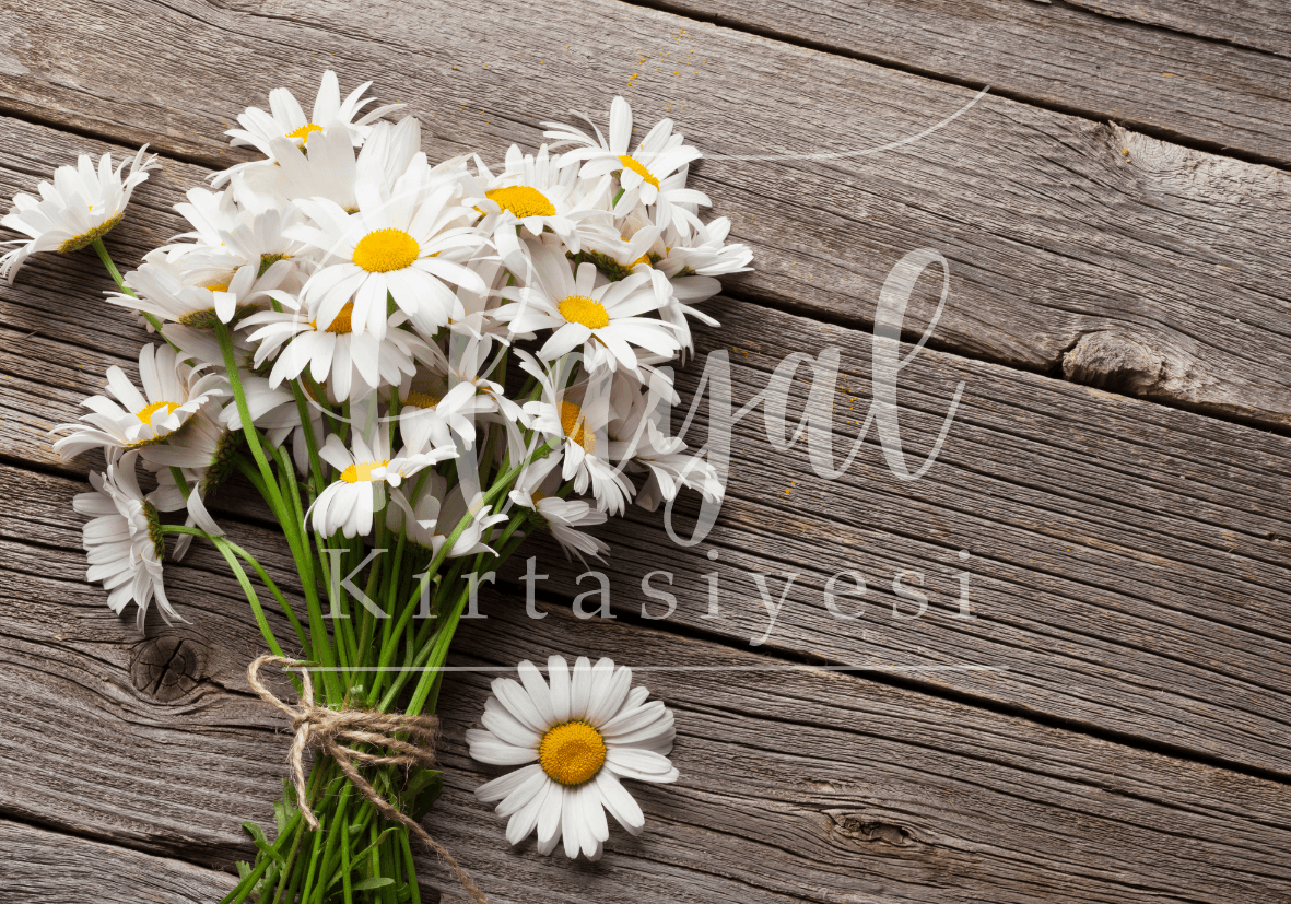 Fotoğraf Fonu-97 50x50 cm | 50x70 cm | 70x100 cm - 1 Adet