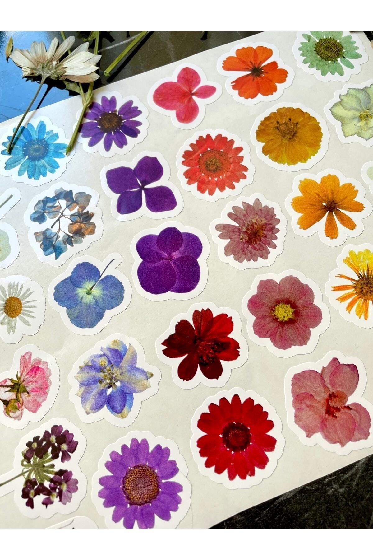 Gerçek Çiçek Görünümlü Sticker 35 Adet 3-5 Cm Arası Ölçülerde Folyo Yapışkanlı Etiket