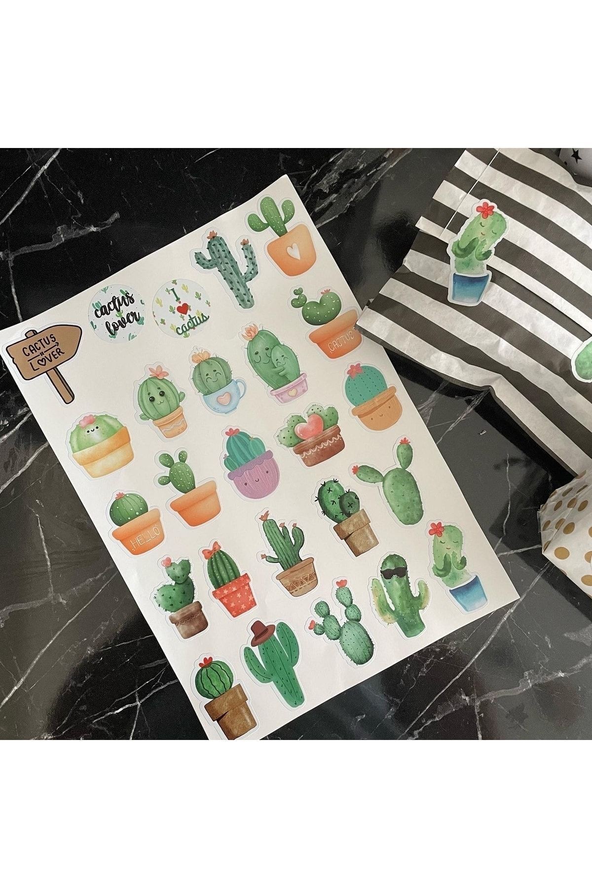 Kaktüs Sever Sticker Seti 25 Adet Opak Sticker, Hediye Paketi Ve Bullet Journal