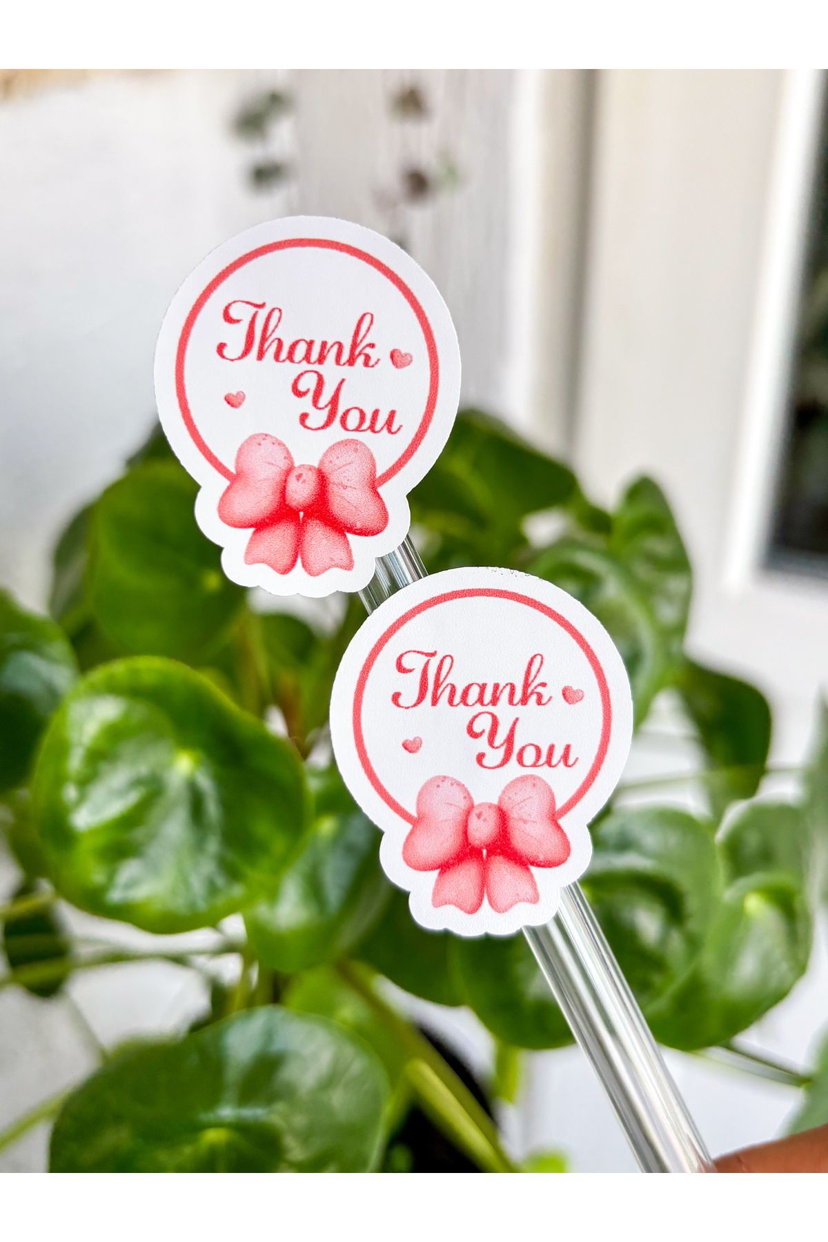 Fiyonk Thank You Sticker 49 Adet 3x4 Cm Opak Sticker, Yapışkanlı Etiket, Teşekkür Etiketi