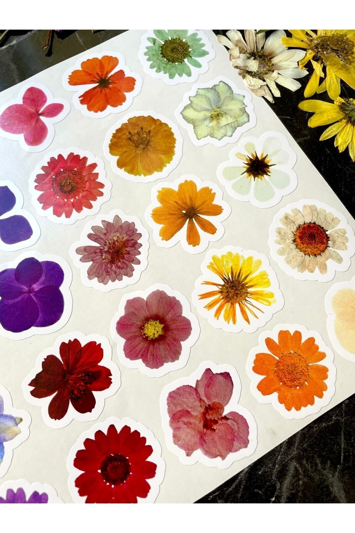 Gerçek Çiçek Görünümlü Sticker 35 Adet 3-5 Cm Arası Ölçülerde Folyo Yapışkanlı Etiket