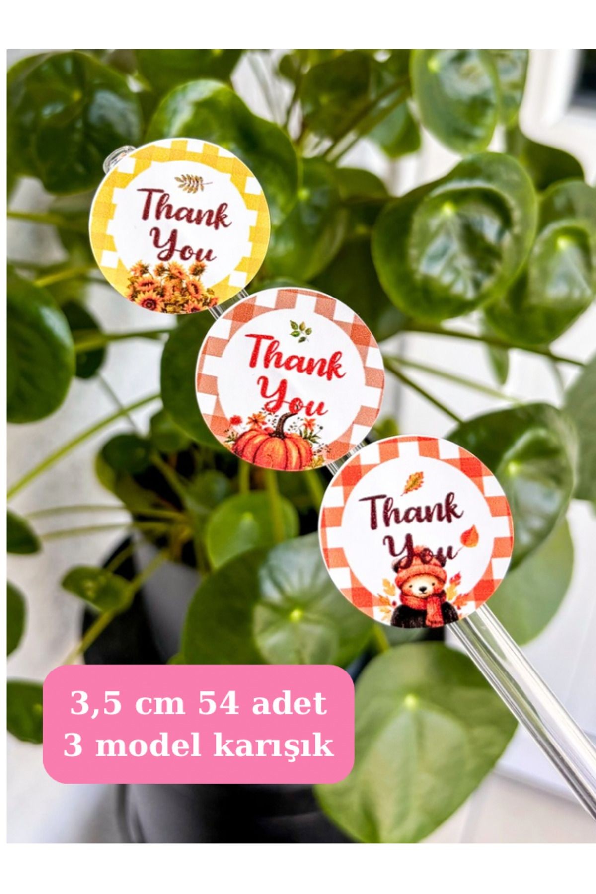 Sonbahar sticker seti 3,5 cm 54 adet opak sticker, yapışkanlı etiket, hediye paketi etiketi