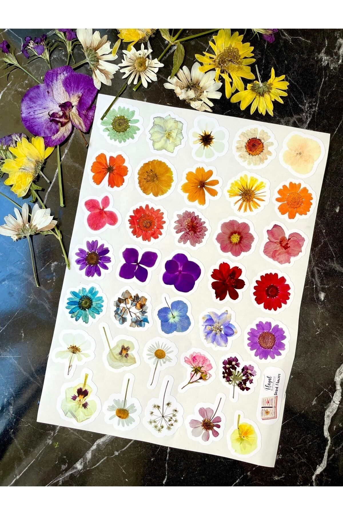 Gerçek Çiçek Görünümlü Sticker 35 Adet 3-5 Cm Arası Ölçülerde Folyo Yapışkanlı Etiket