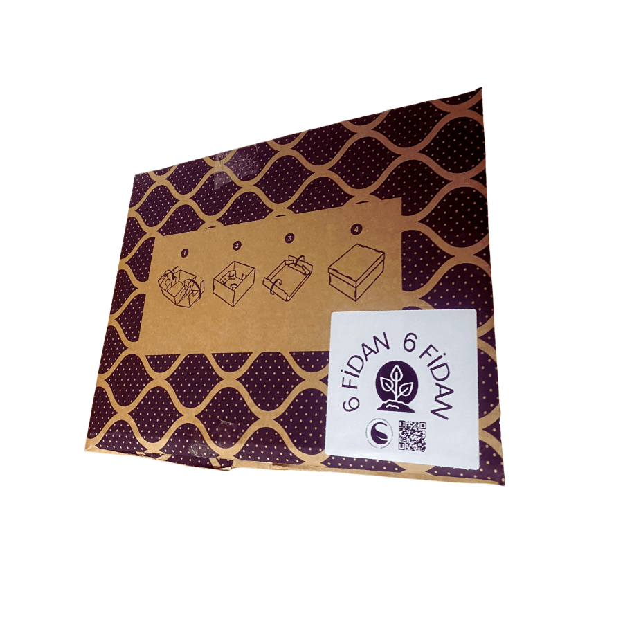 Medium Kutu