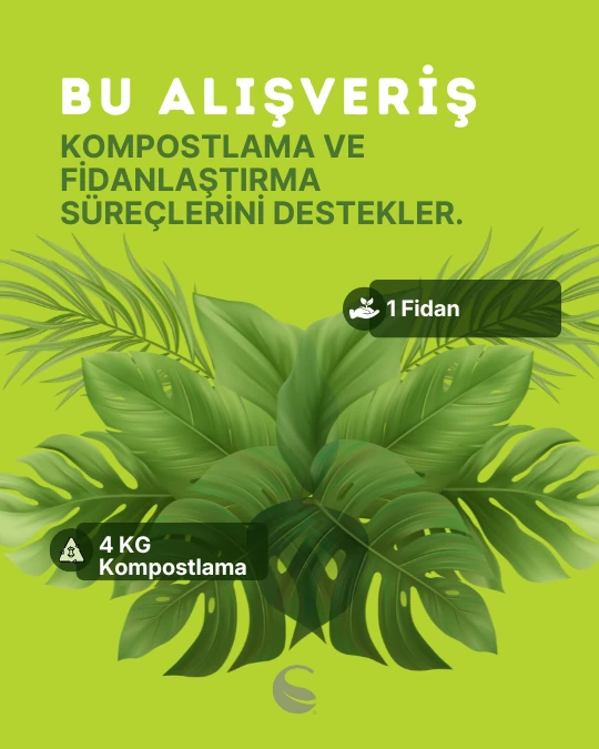 Linda Masa Lambası Gold Plus