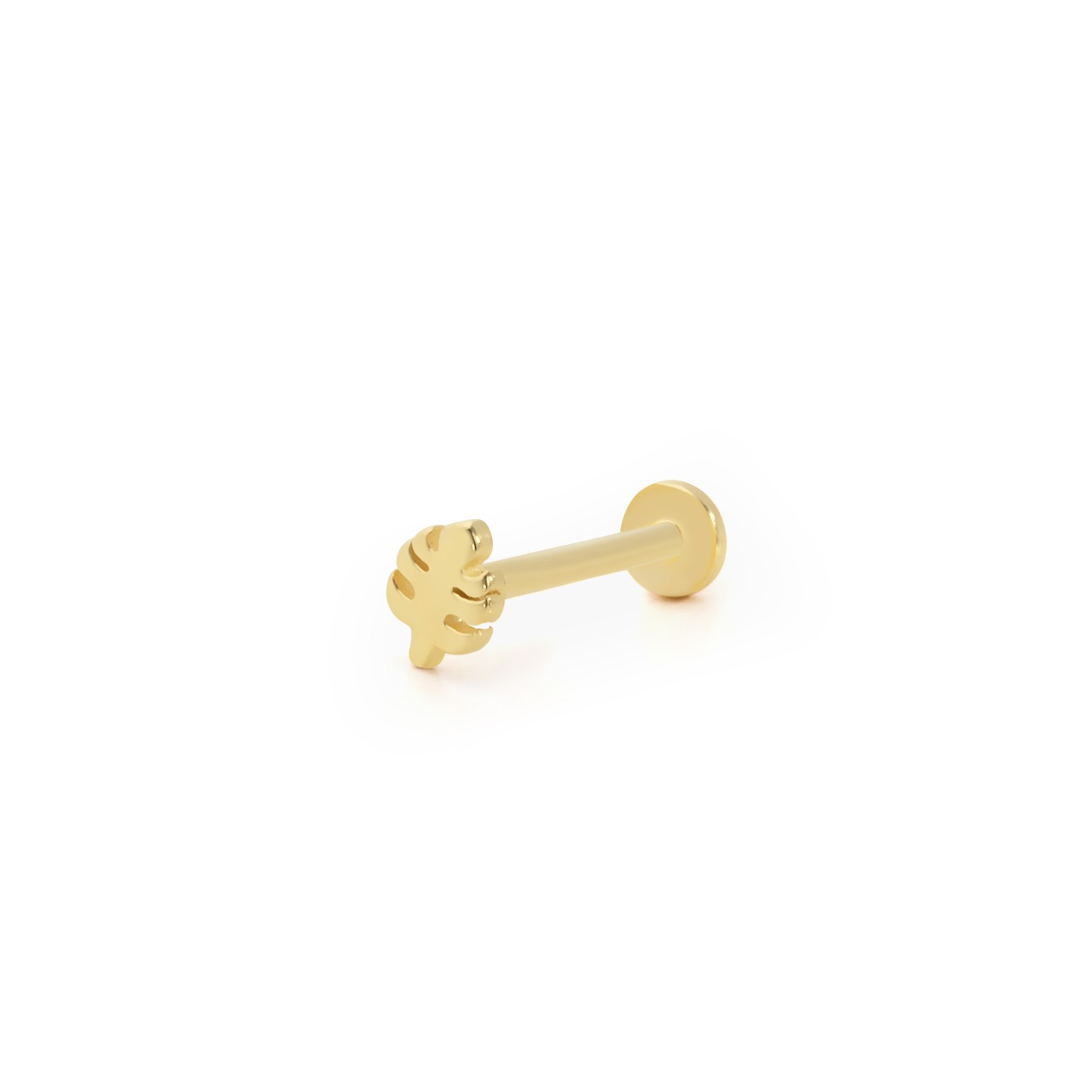 Yaprak Tragus