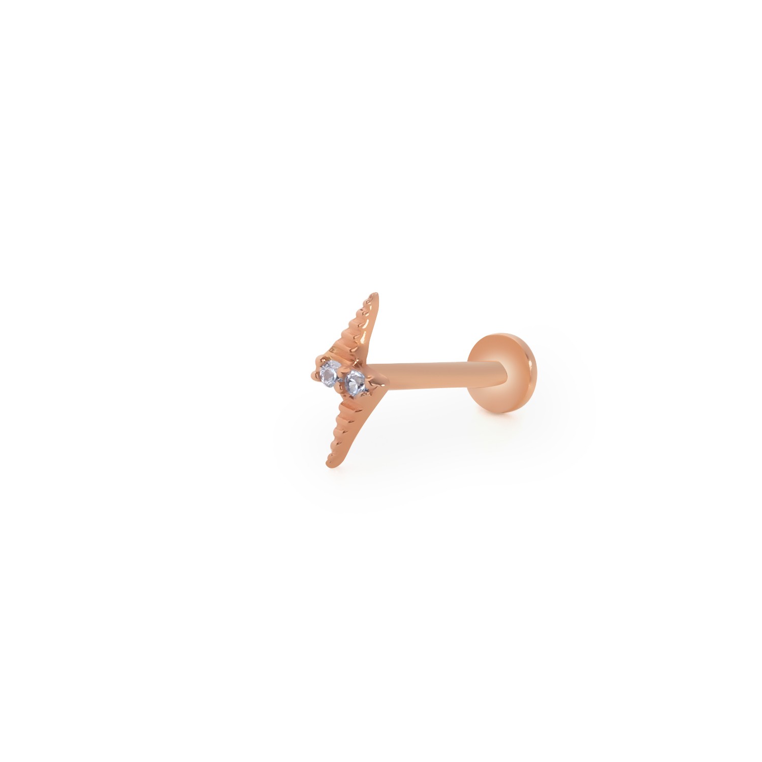 Yıldırım Taşlı Tragus