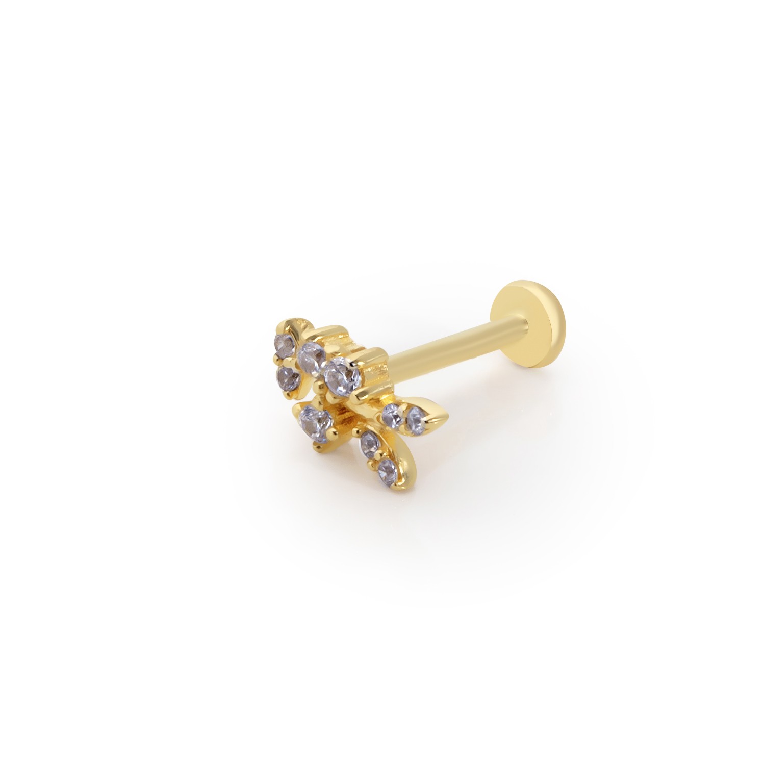 Taşlı Balık Tragus