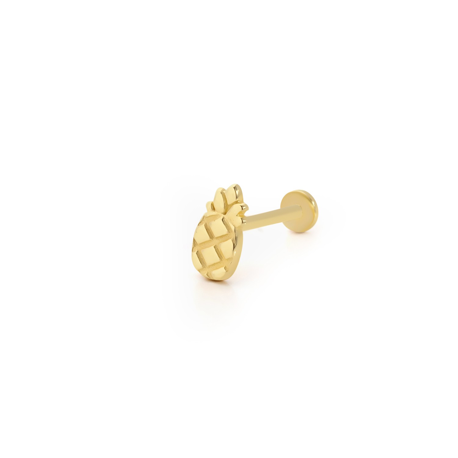 Ananas Tragus