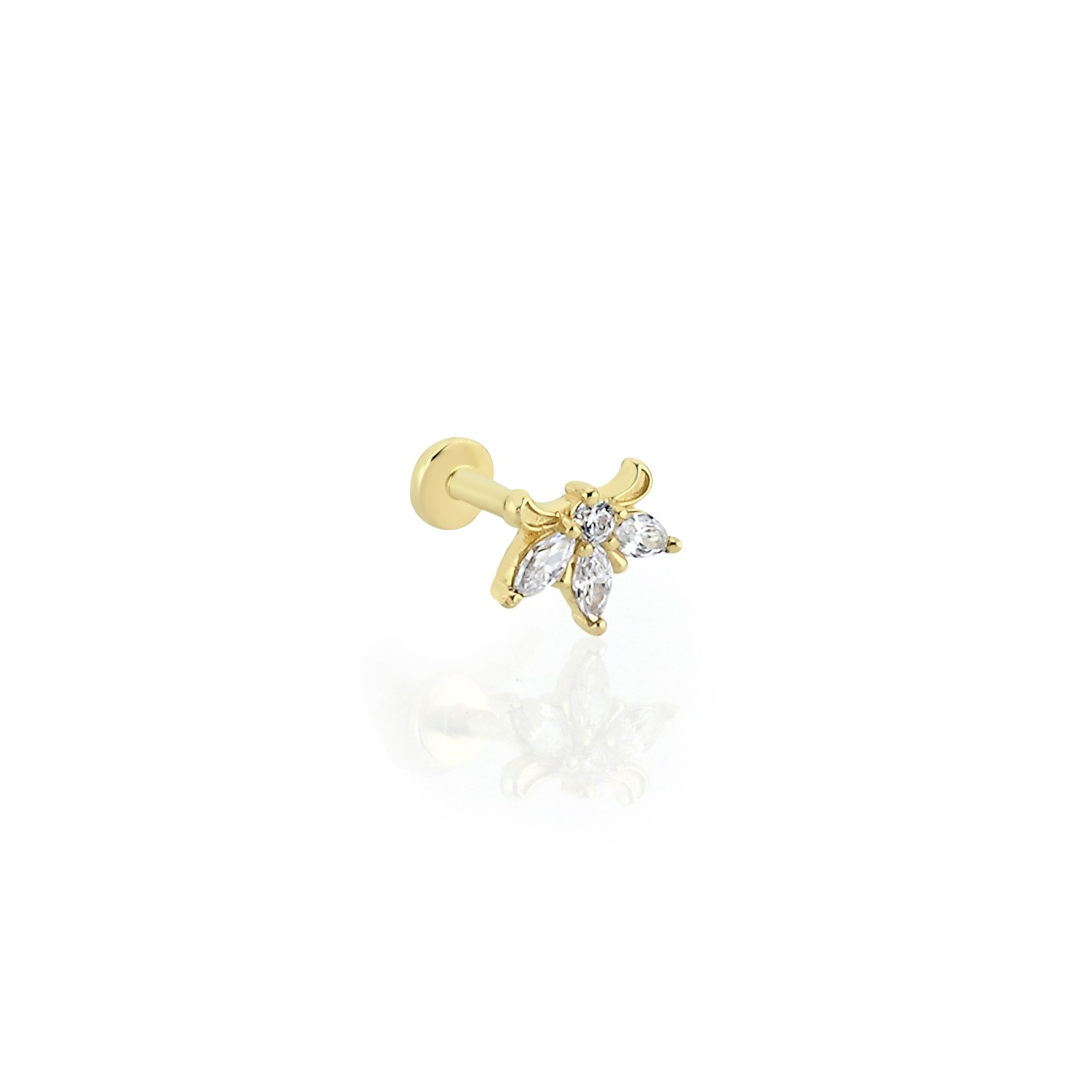 Süslü Tragus