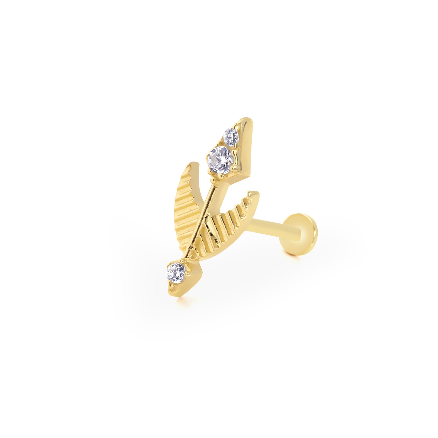 Tüylü Ok Tragus