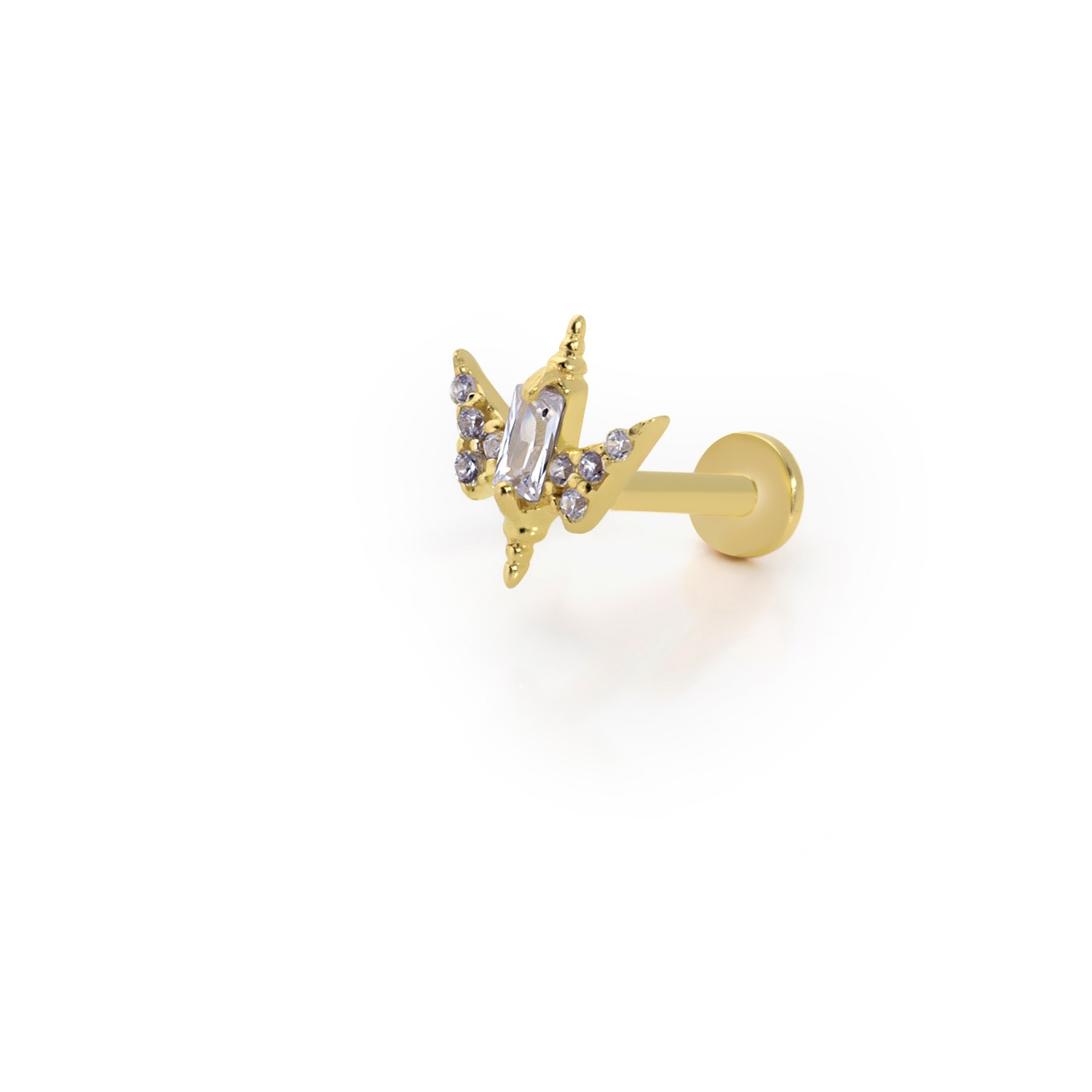 Stellar Tragus