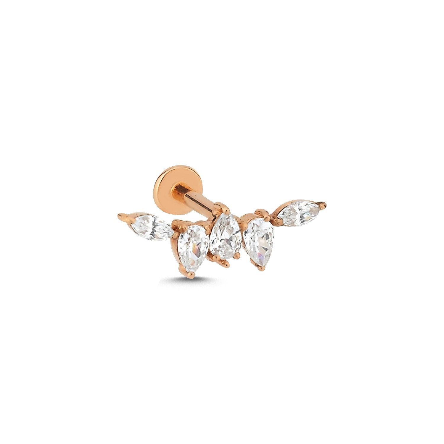 Masal Tragus