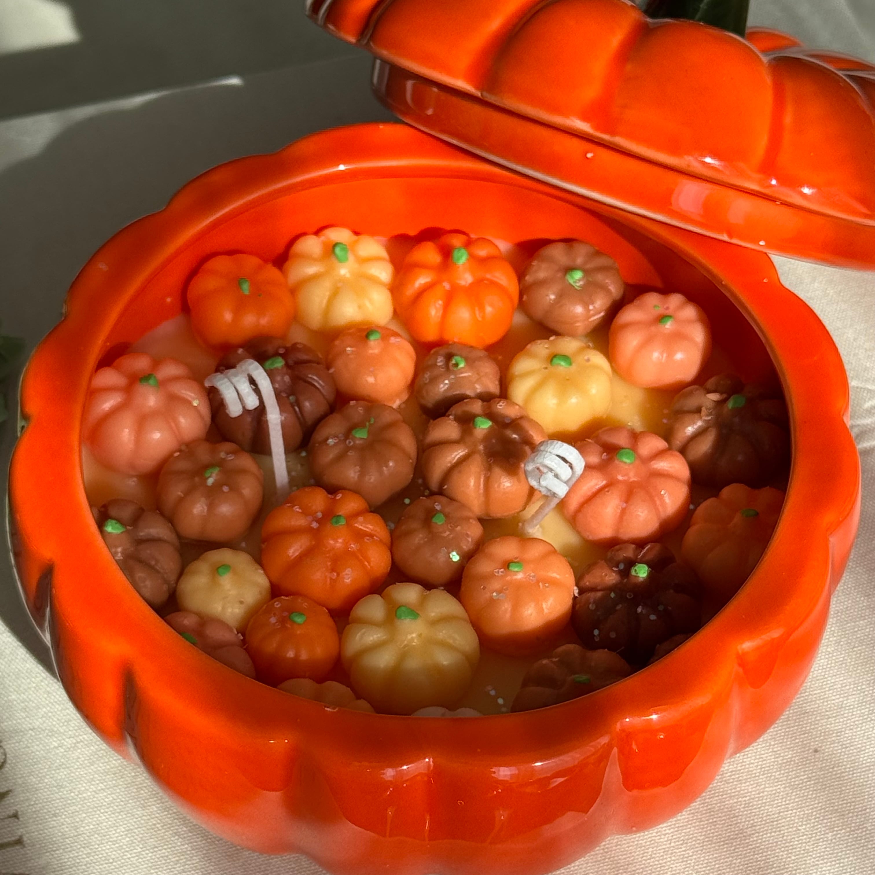 Pumpkin Harvest Mum