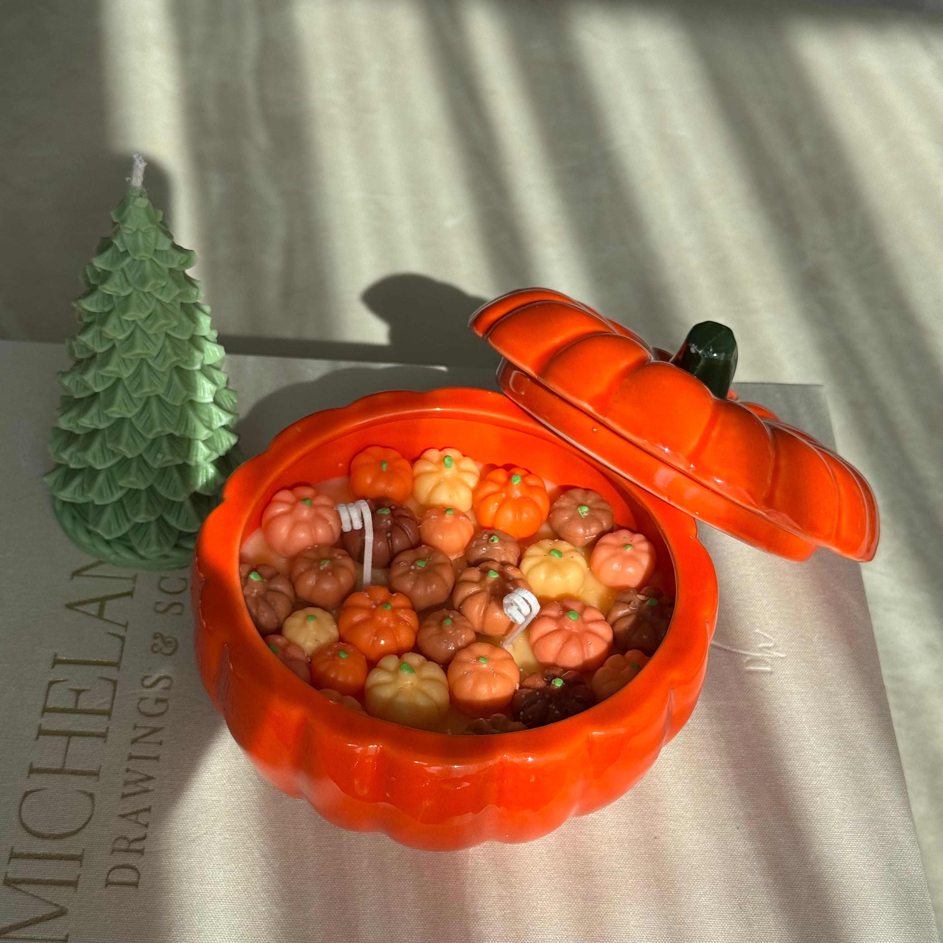 Pumpkin Harvest Mum
