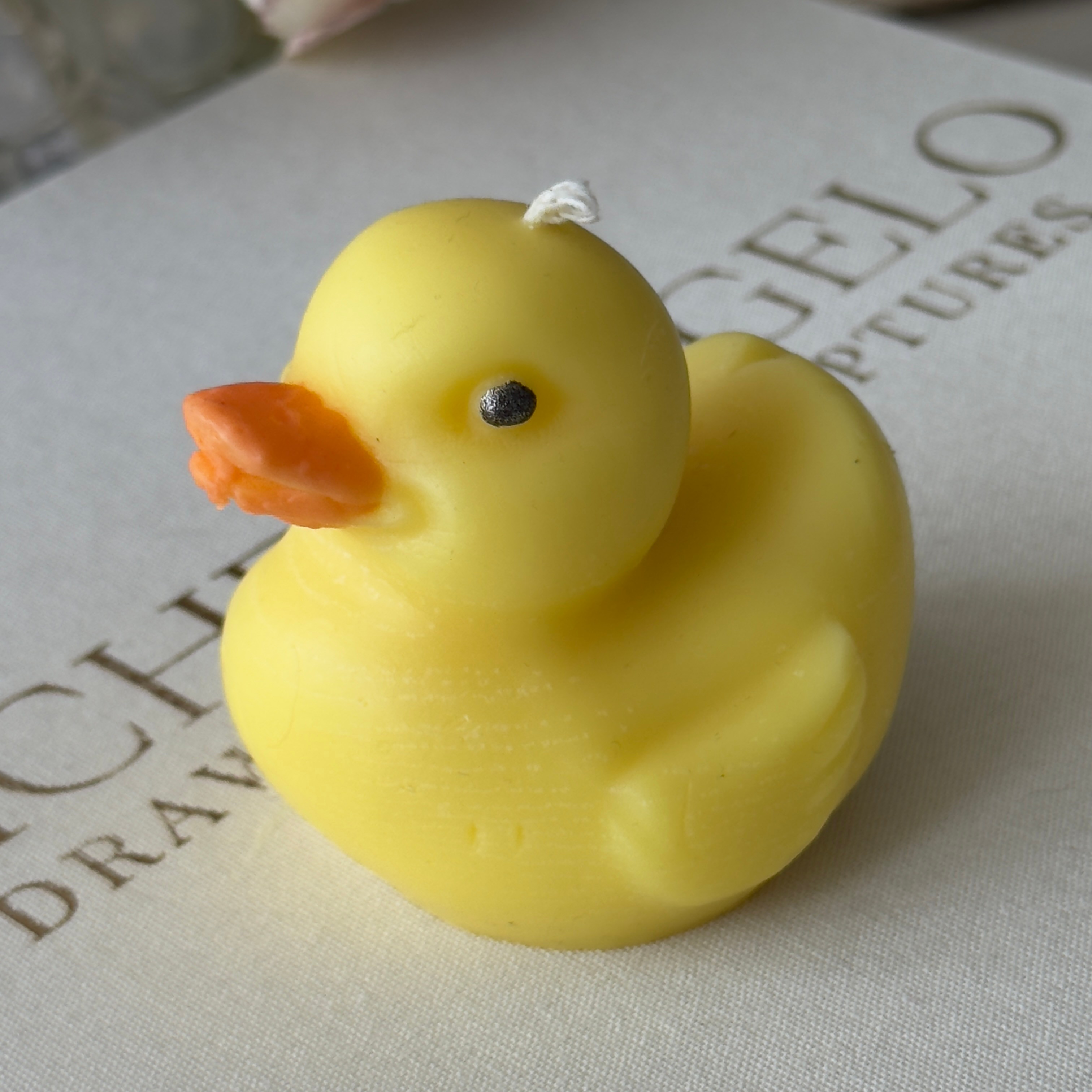 Duck Mum 