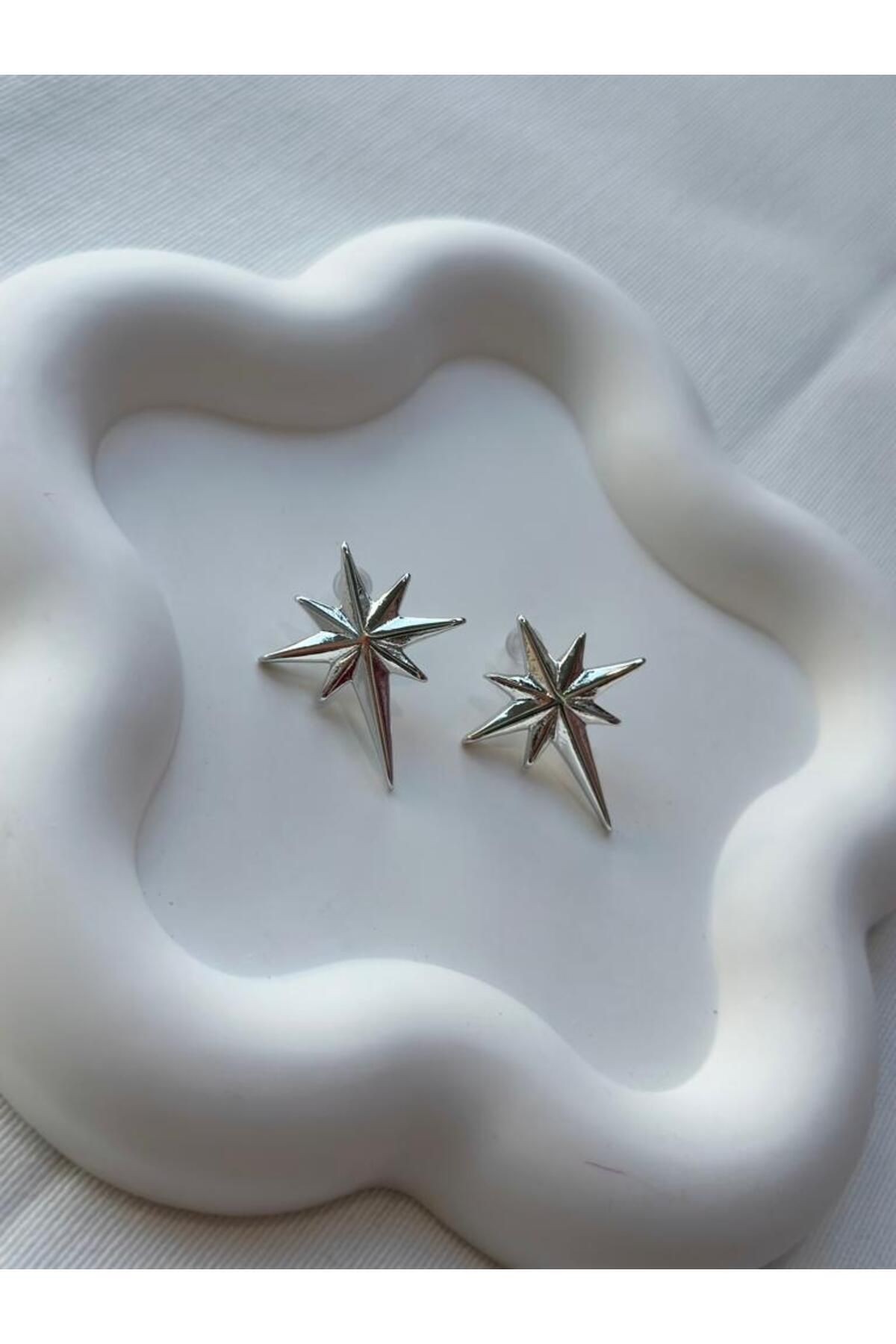 Silver Özel Seri Pirinç Kaplama Şimal Yıldızı Trend Küpe