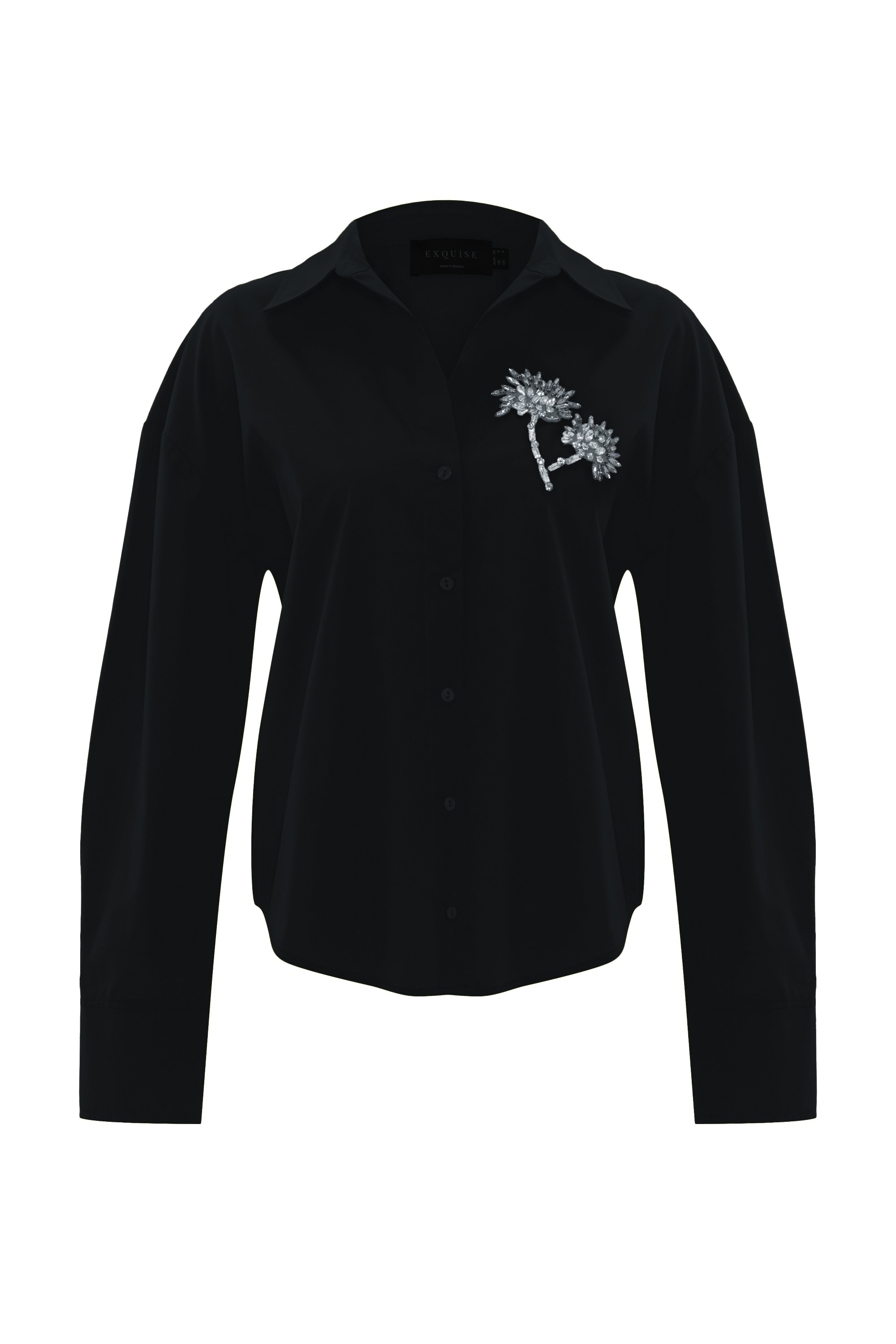 Embroidered and Long Sleeve Shirt Model