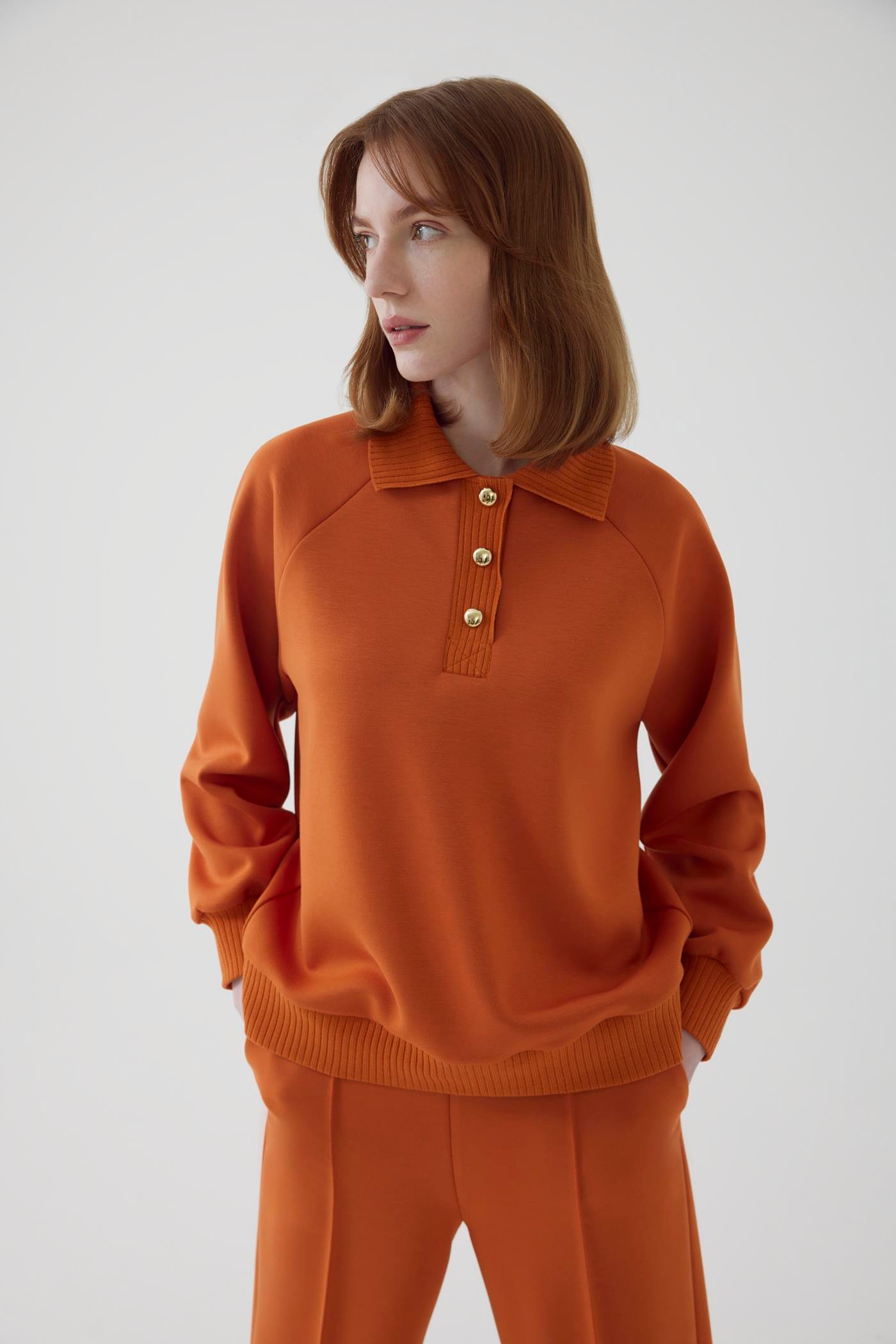 Polo Neck Regular Knit Sweatshirt