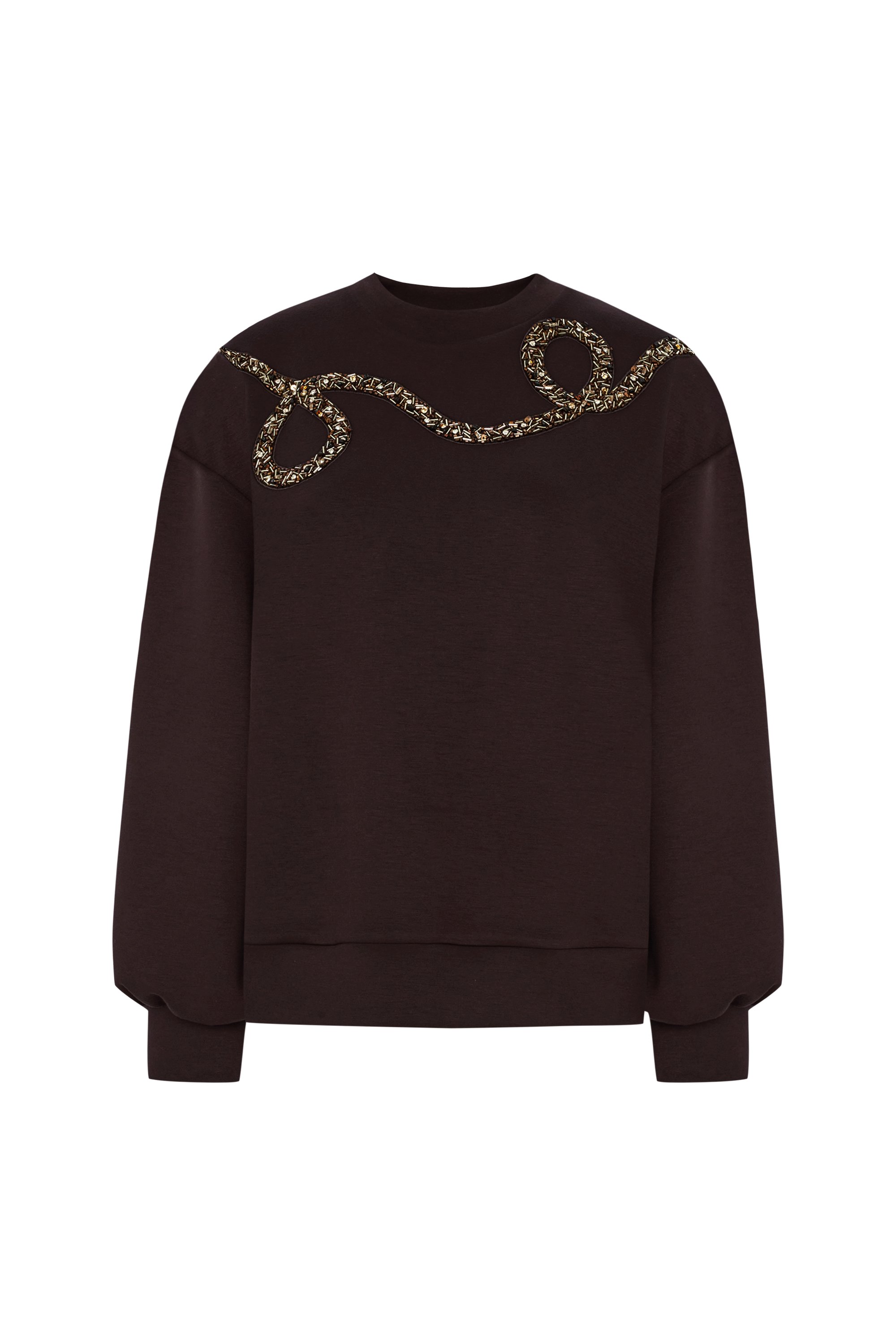 Embroidered Crew Neck Regular Sweatshirt