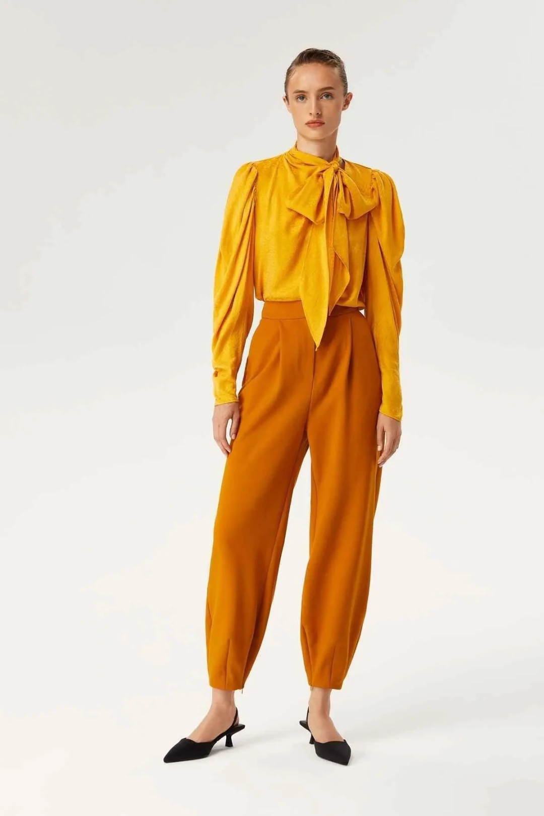 Pleated Pants with Leg Detail 1