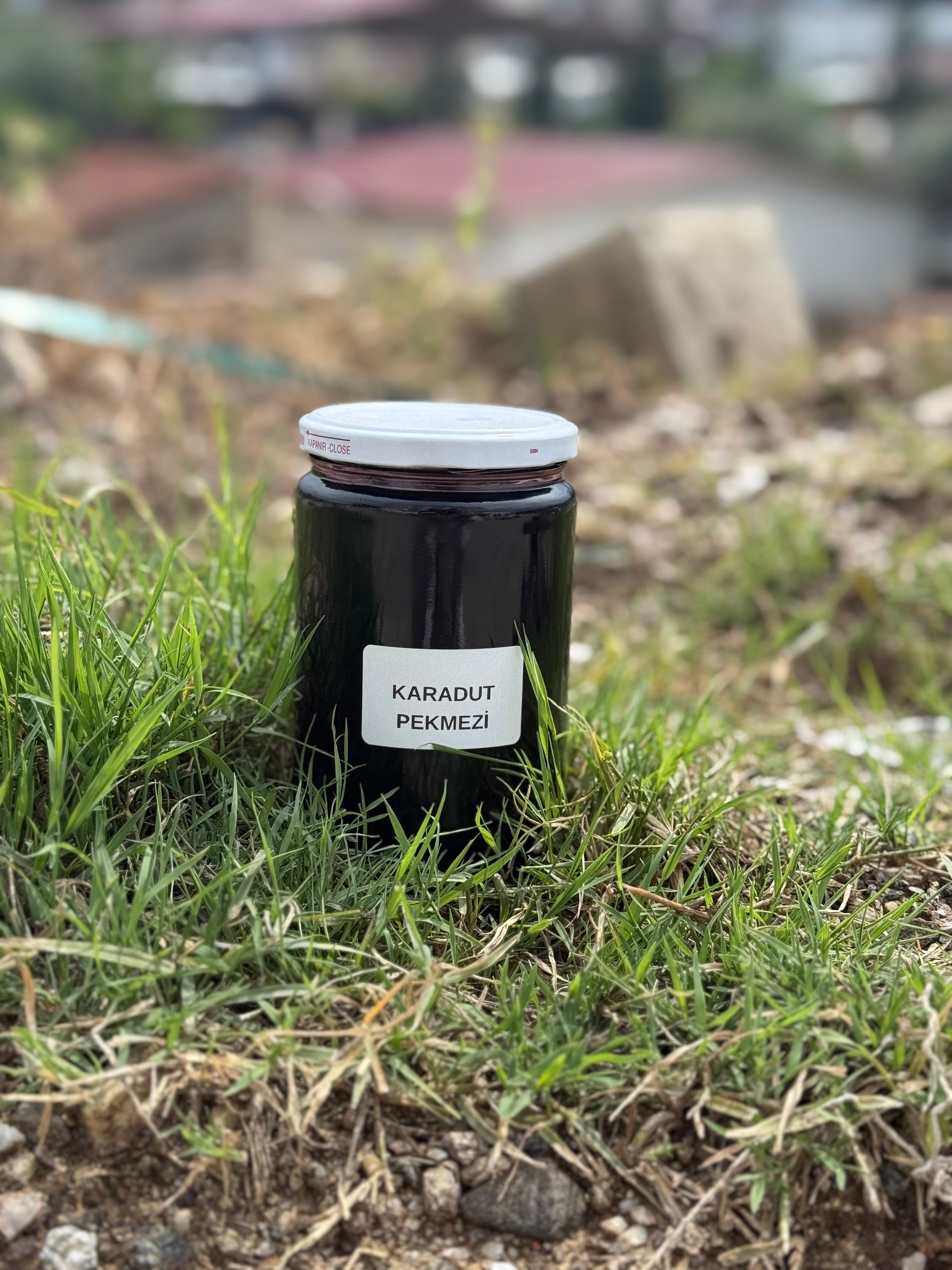 Karadut pekmezi 800gr
