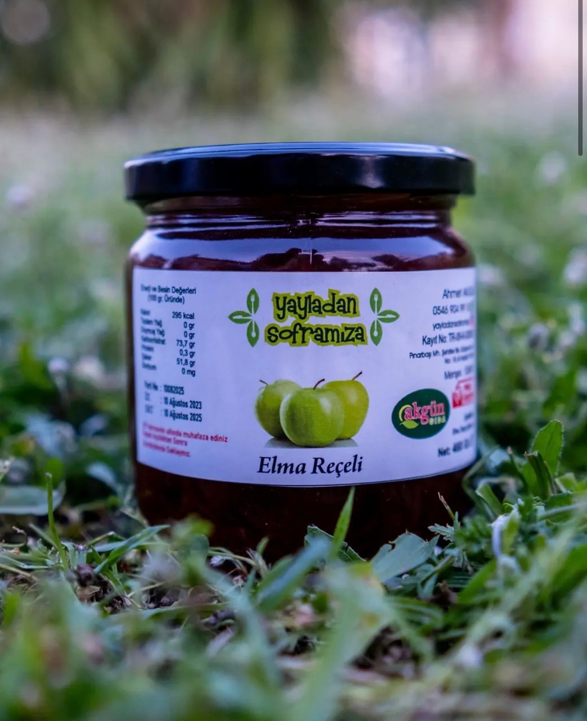Elma Reçeli 460 Gr