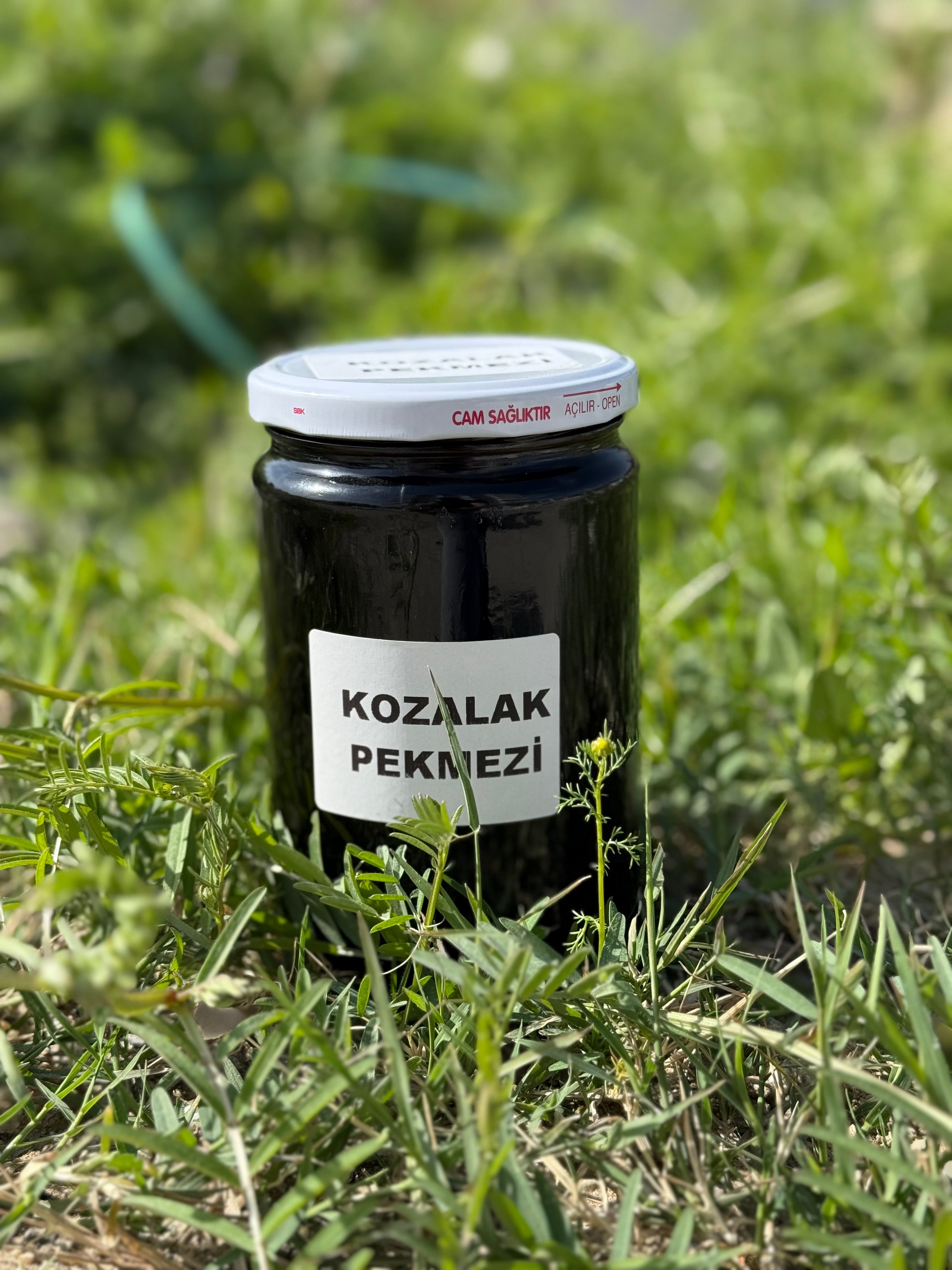 Kozalak pekmezi 800gr 